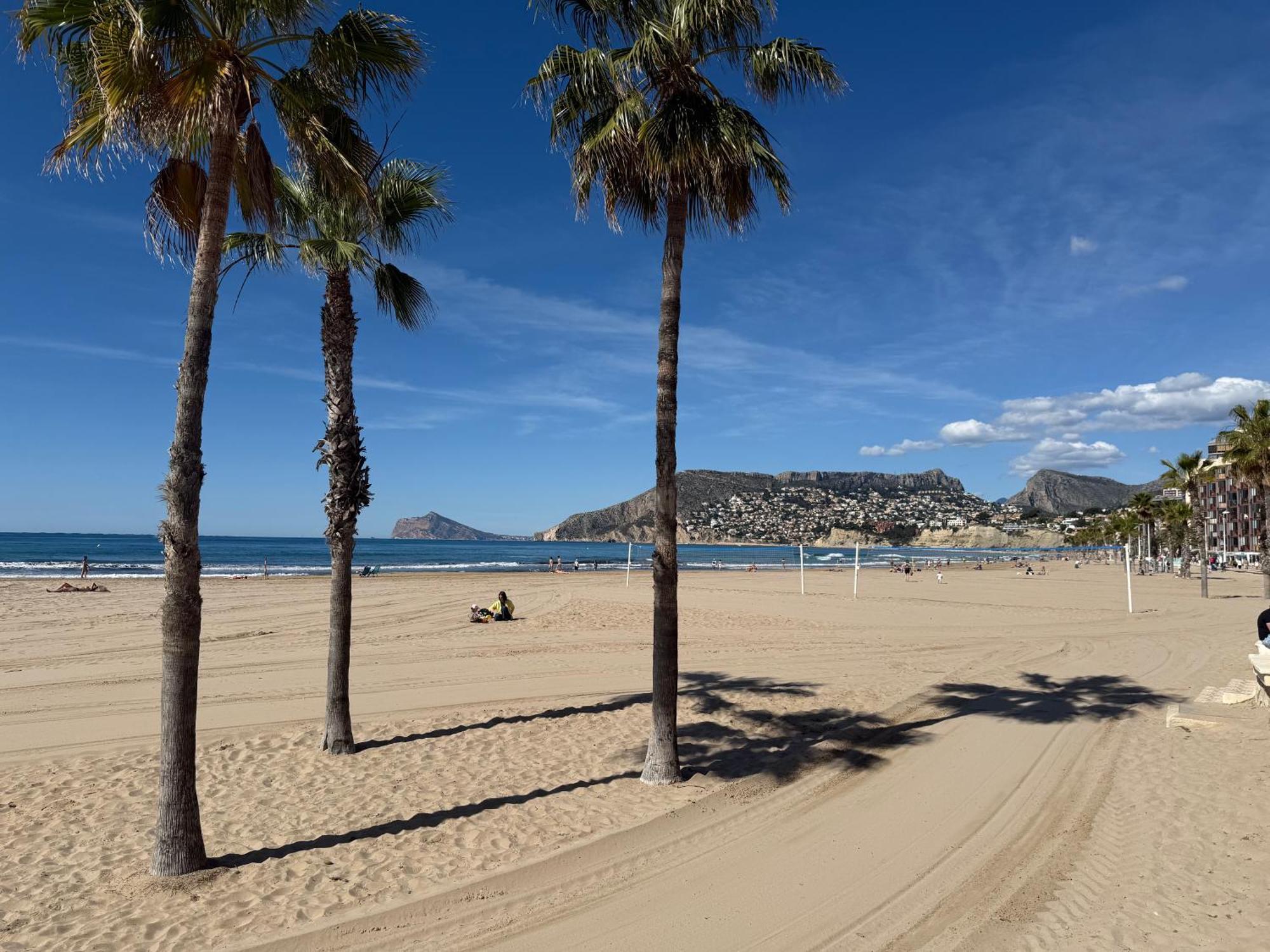 V Calp